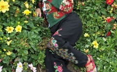 长江七号动画版全集